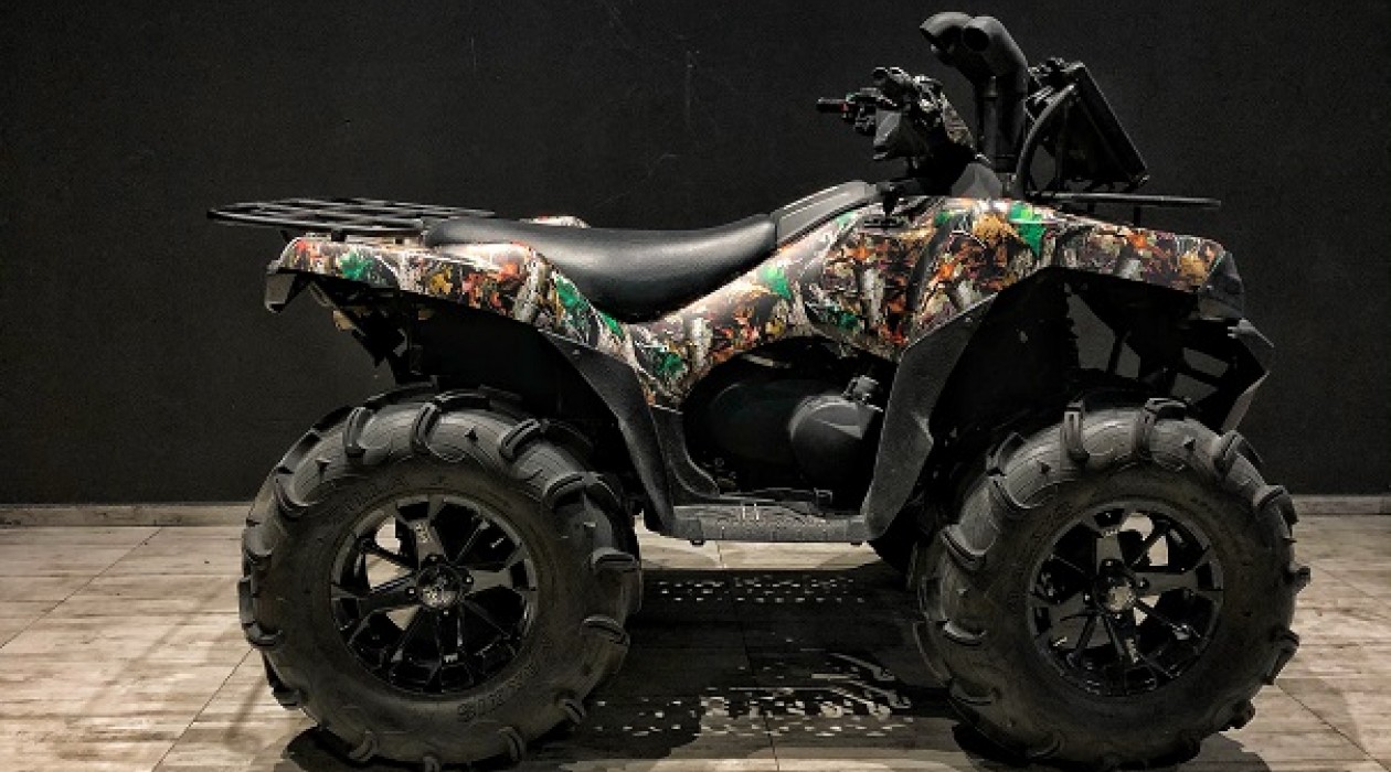 Brute Force 750 2010